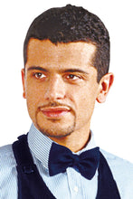 Carica l'immagine nel visualizzatore di Gallery, Papillon colours