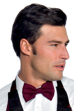 Carica l'immagine nel visualizzatore di Gallery, Papillon colours