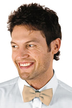 Carica l'immagine nel visualizzatore di Gallery, Papillon colours