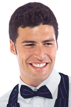 Carica l'immagine nel visualizzatore di Gallery, Papillon fantasia Isacco 104055