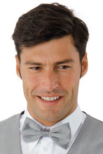 Carica l'immagine nel visualizzatore di Gallery, Papillon fantasia Isacco 104208