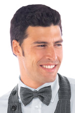 Carica l'immagine nel visualizzatore di Gallery, Papillon fantasia Isacco 104219