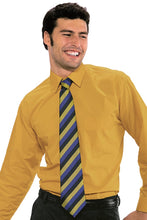 Carica l'immagine nel visualizzatore di Gallery, Cravatta Isacco Regimental 115126