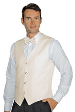 Carica l&#39;immagine nel visualizzatore di Gallery, Gilet unisex Crema 033005
